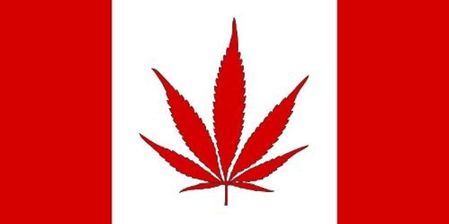Canadian flag with a red cannabis leaf replacing the traditional maple leaf